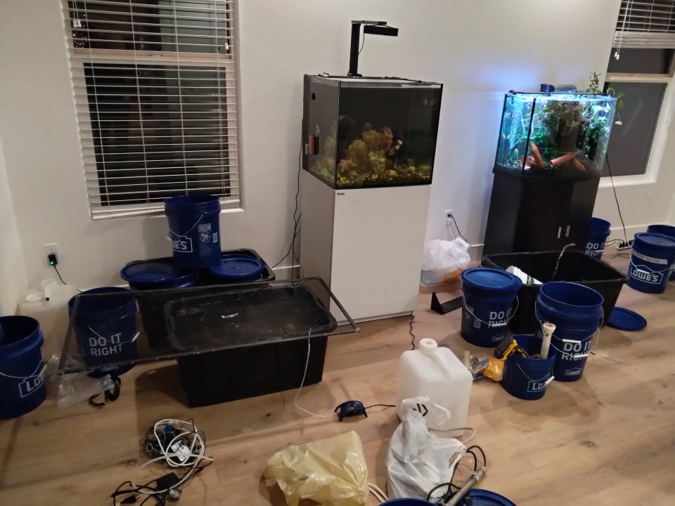 IMG_20240106_204010.jpg
