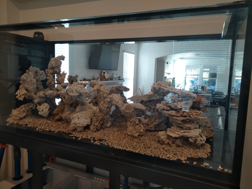 IMG_20240615_072509.jpg