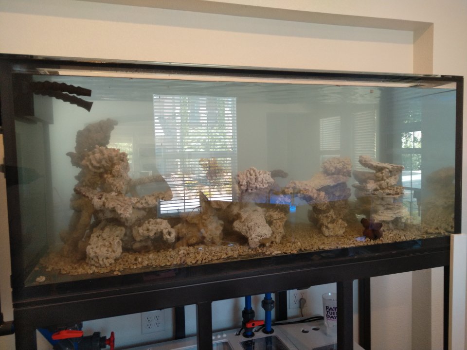 IMG_20240617_133954.jpg