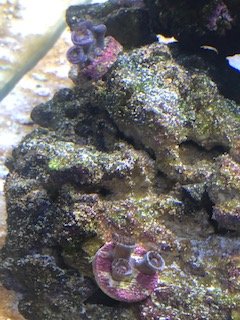 IMG_2777.jpg