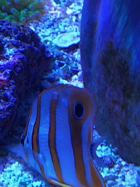 IMG_2838.jpg