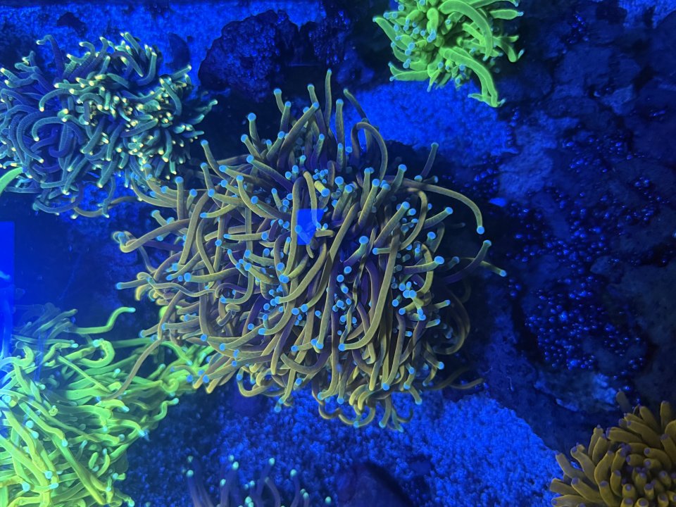 IMG_3321.jpeg