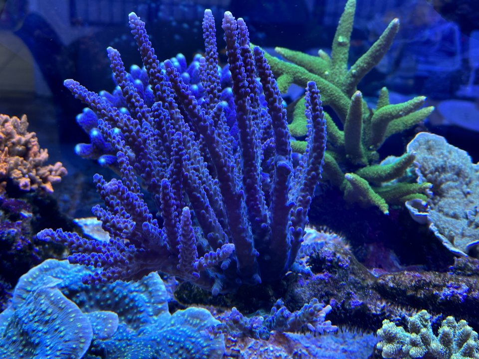 IMG_3584.jpeg