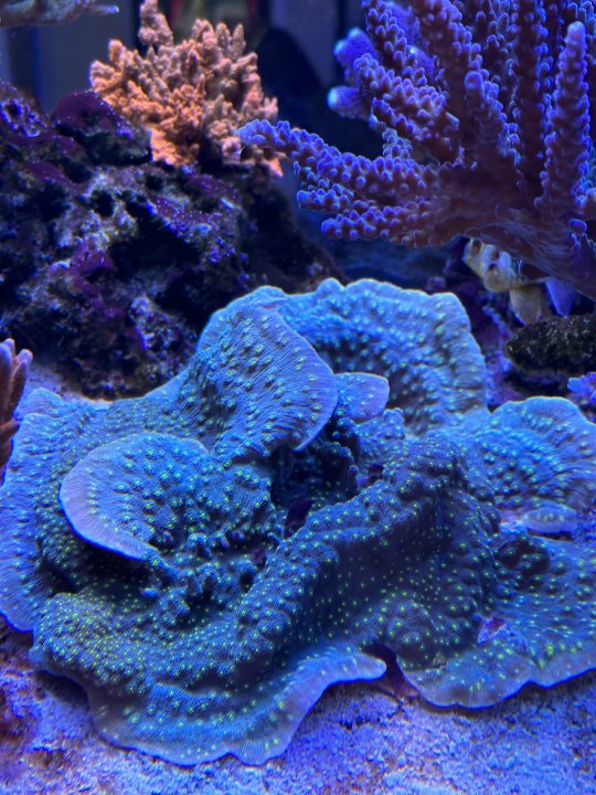IMG_3592.jpeg