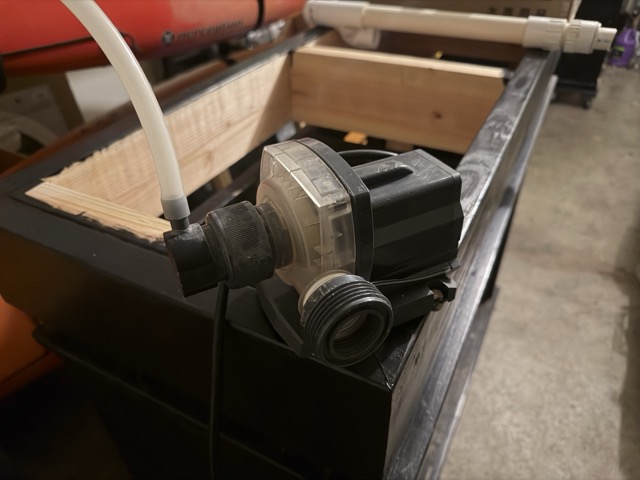 IMG_3696 Medium.jpeg