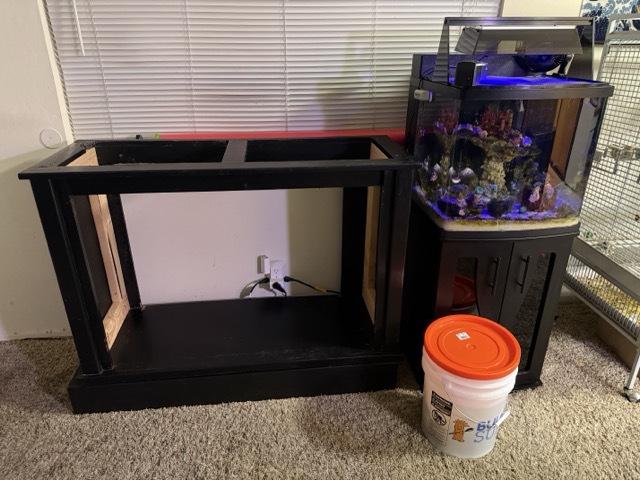 IMG_3699 Medium.jpeg