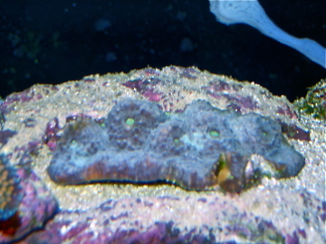 IMG_3879.jpg
