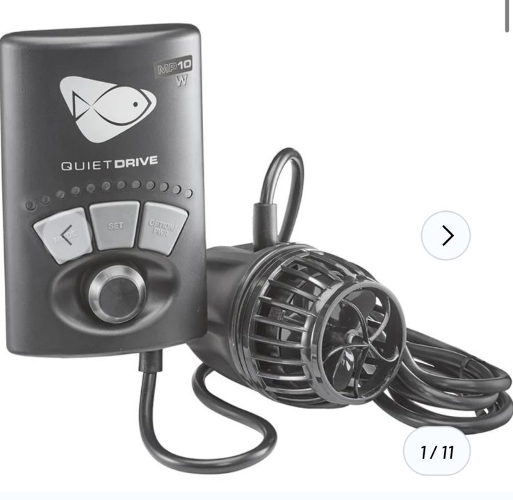 IMG_4561.jpeg IMG_4561.jpeg