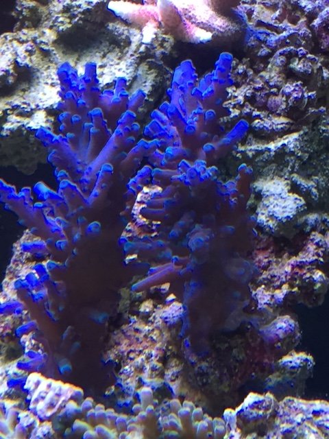 IMG_5677.JPG