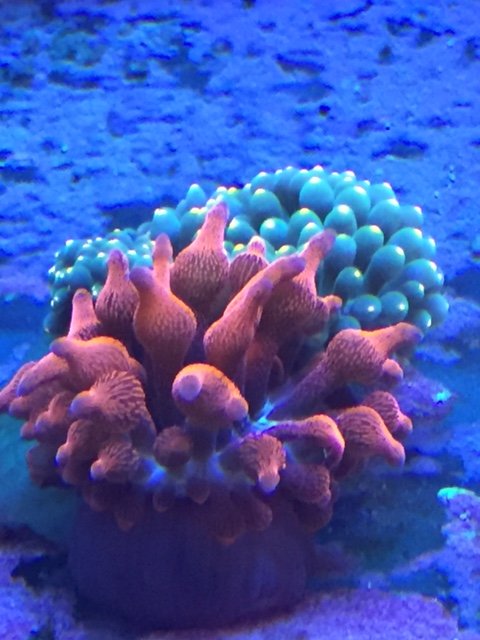 IMG_5756.JPG