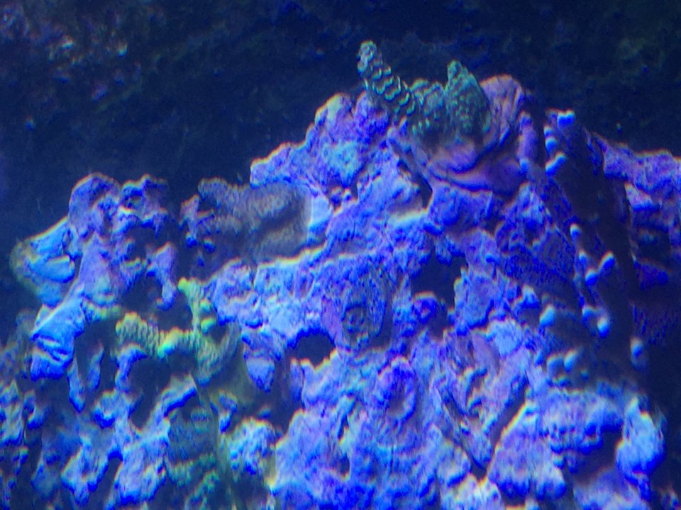 IMG_5856.JPG