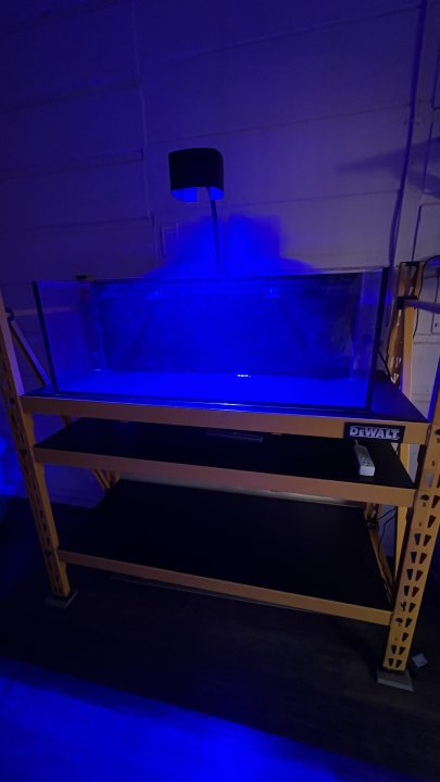 IMG_6256.jpeg