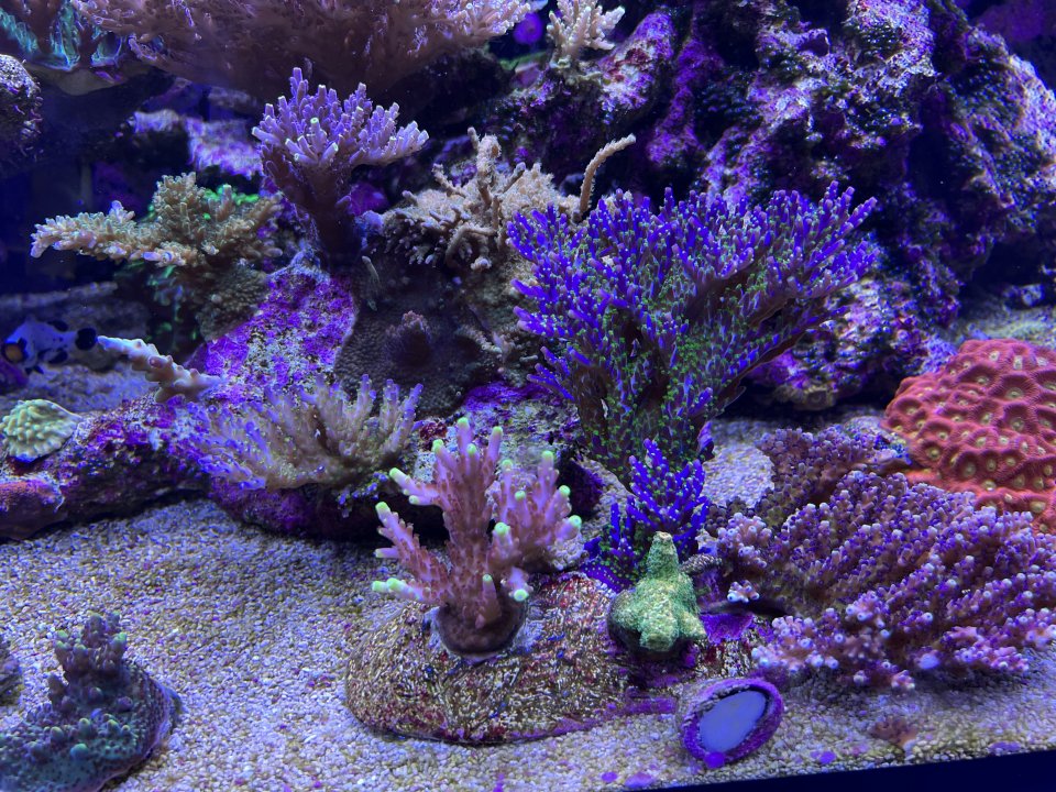 IMG_6581.JPG