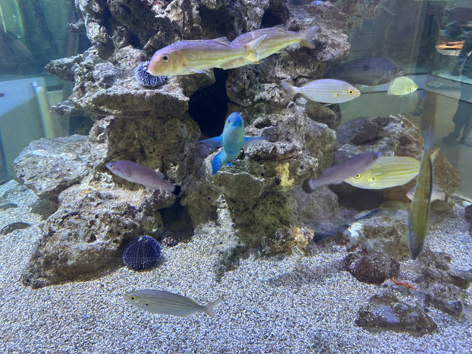 IMG_6655.jpeg