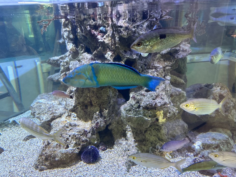 IMG_6656.jpeg