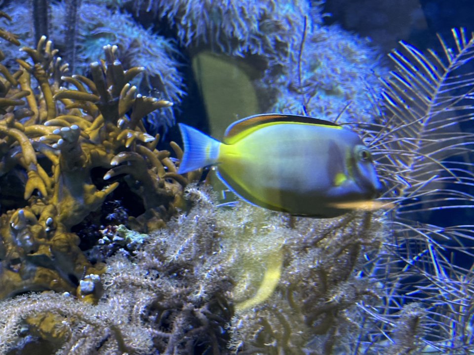 IMG_6719.jpeg
