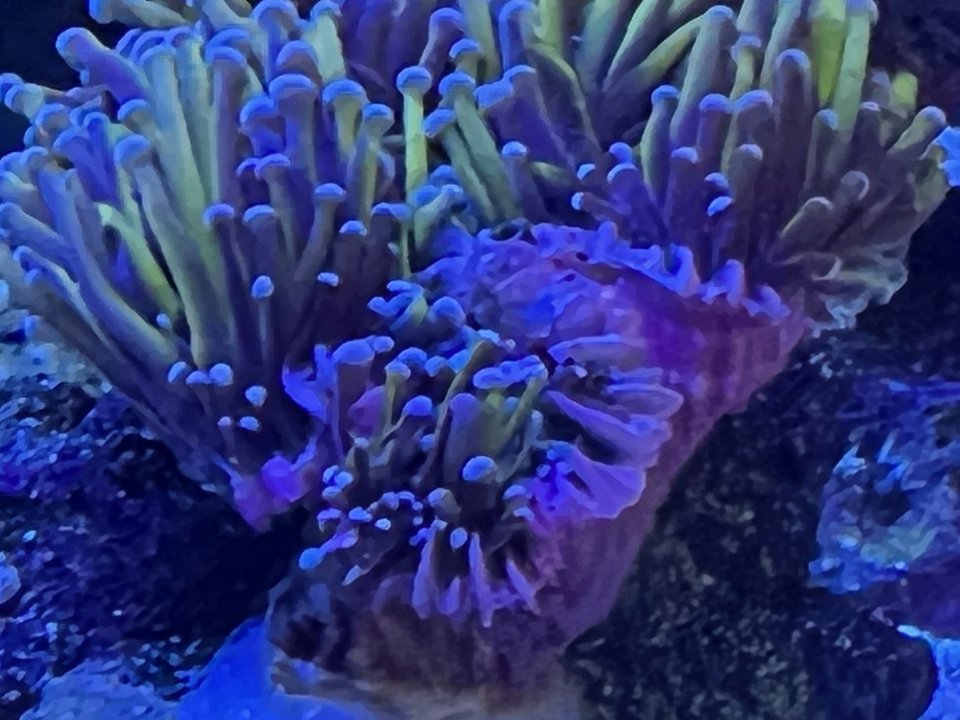 IMG_6908.jpeg