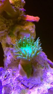 IMG_7370.JPG