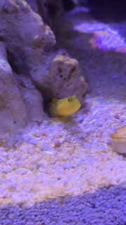 IMG_7379.JPG