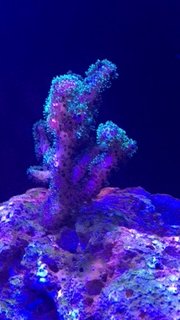 IMG_7384.JPG