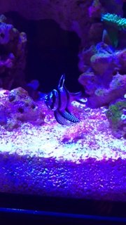 IMG_7401.JPG