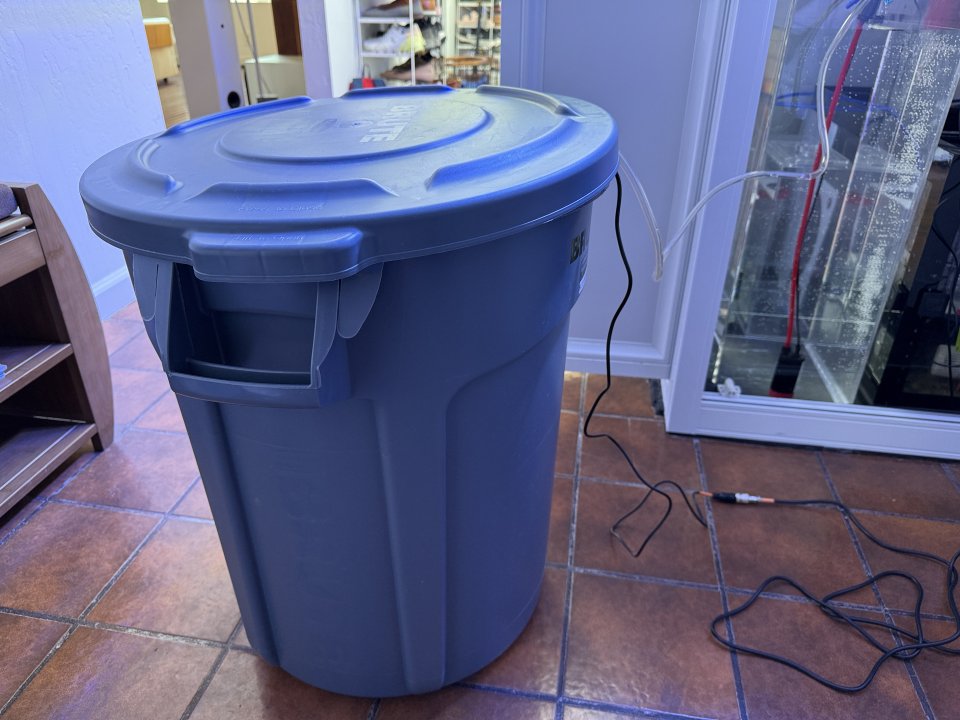 IMG_7478.jpeg