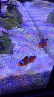 IMG_7483.JPG