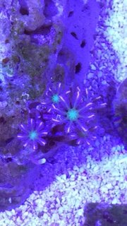 IMG_7506.JPG