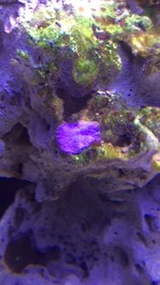IMG_7551.JPG