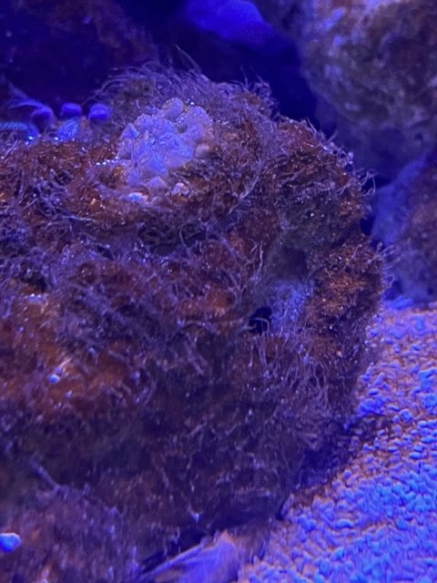 IMG_7738.jpg