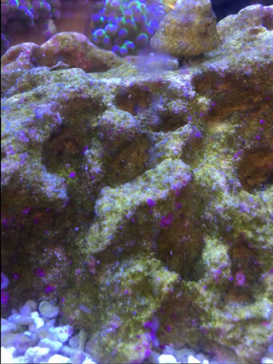 IMG_8031.JPG