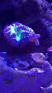 IMG_8032.JPG