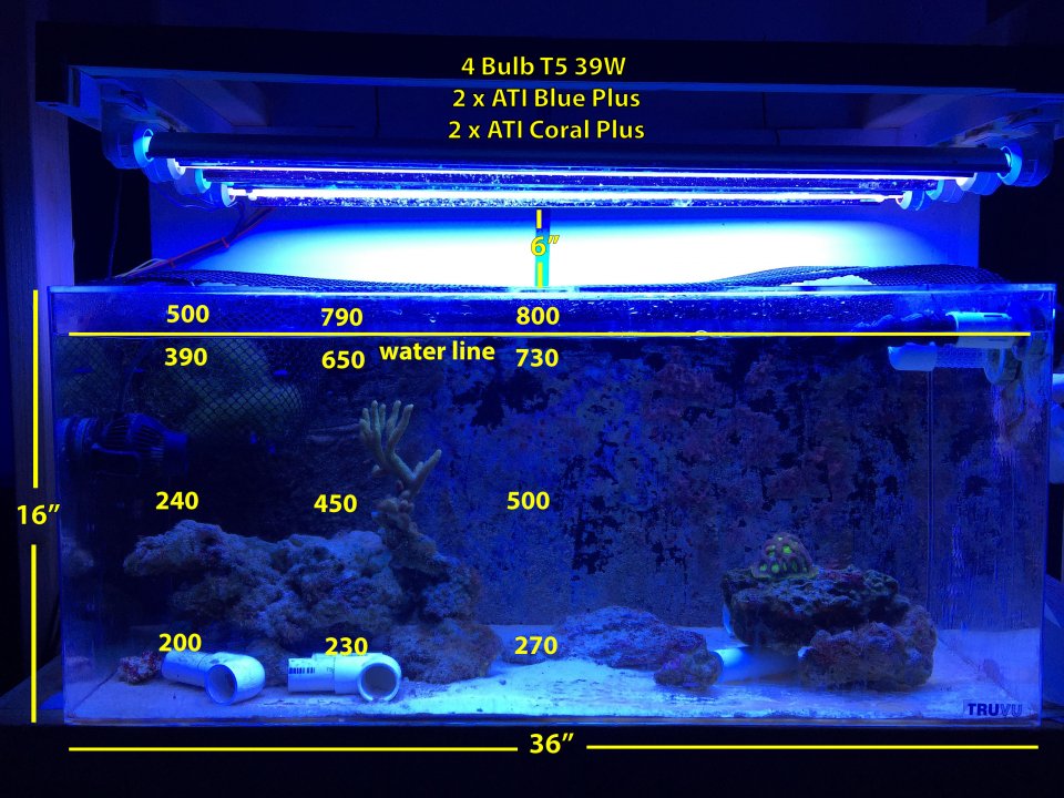IMG_8252-PAR-Frag-Tank-6in.jpg