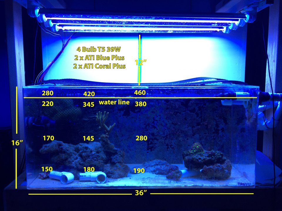 IMG_8253-PAR-Frag-Tank-12in.jpg