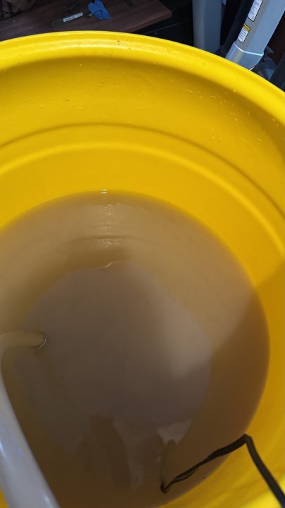 IMG_8387.jpeg