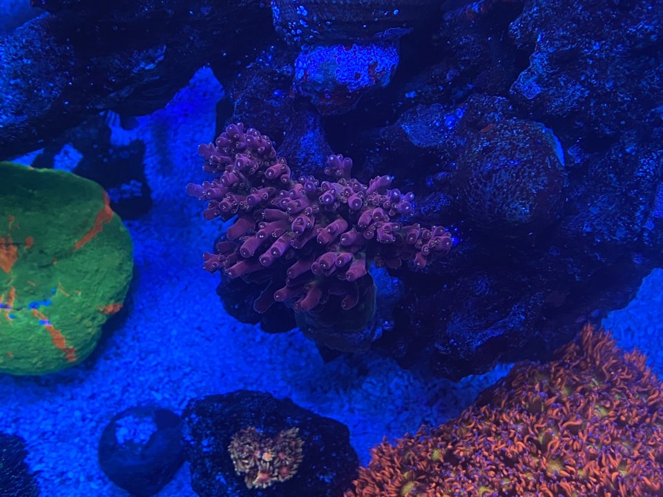 IMG_9019.jpeg