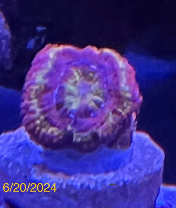 IMG_9134.jpeg