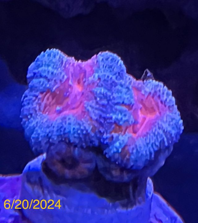 IMG_9137.jpeg