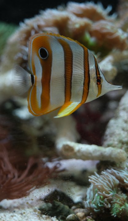 IMG_9325.jpg