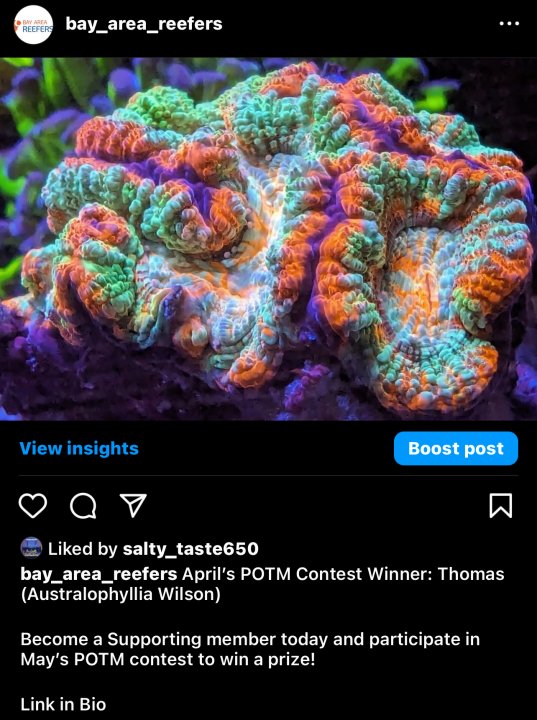 IMG_9551.jpeg