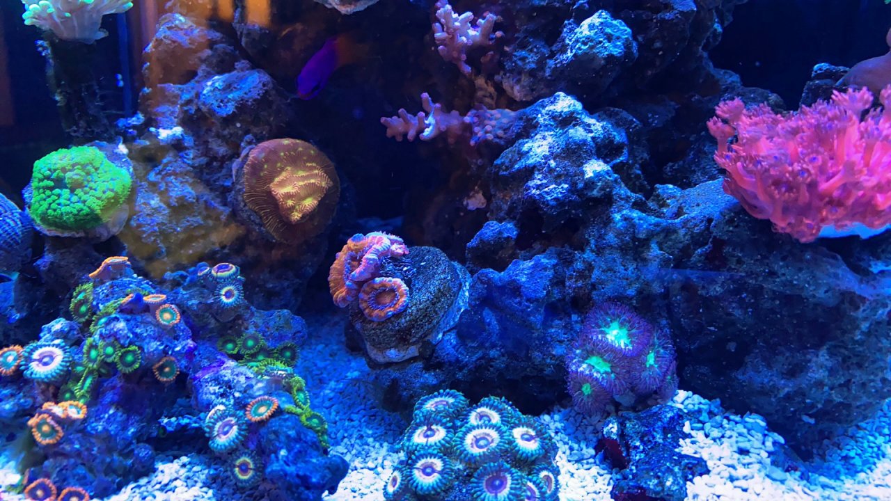IMG_EB7E86F4CB4F-1.jpeg