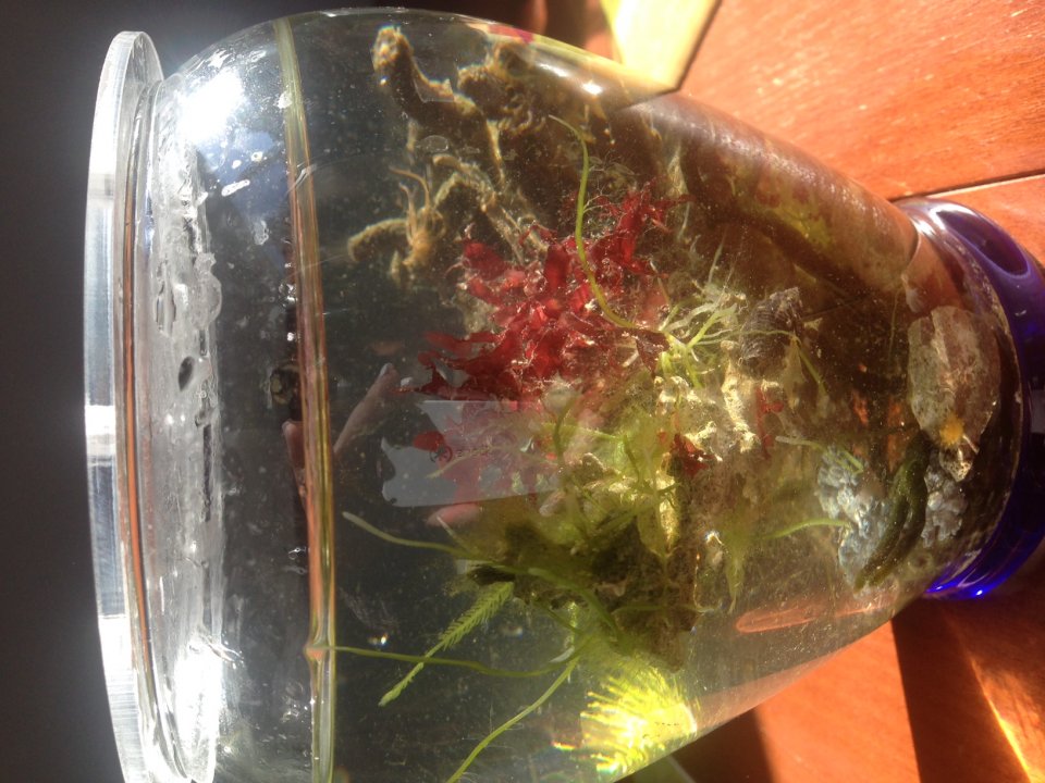 jar4.JPG