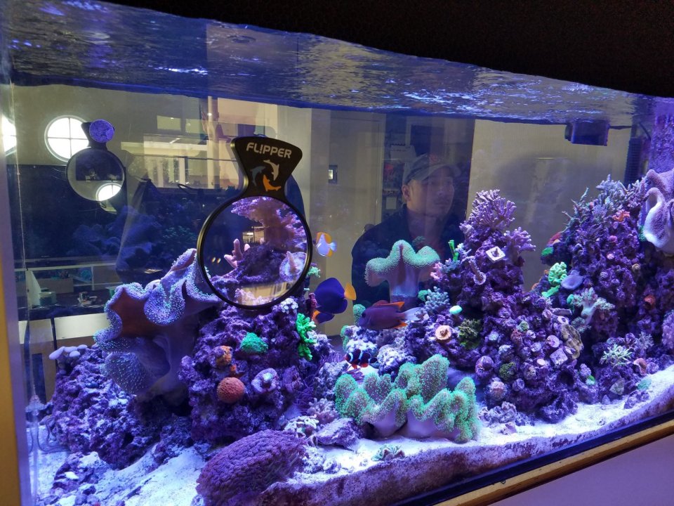 jess full tank side 2.jpg