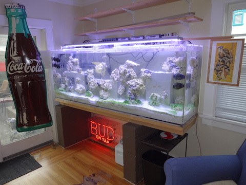 Jims Reef.jpg