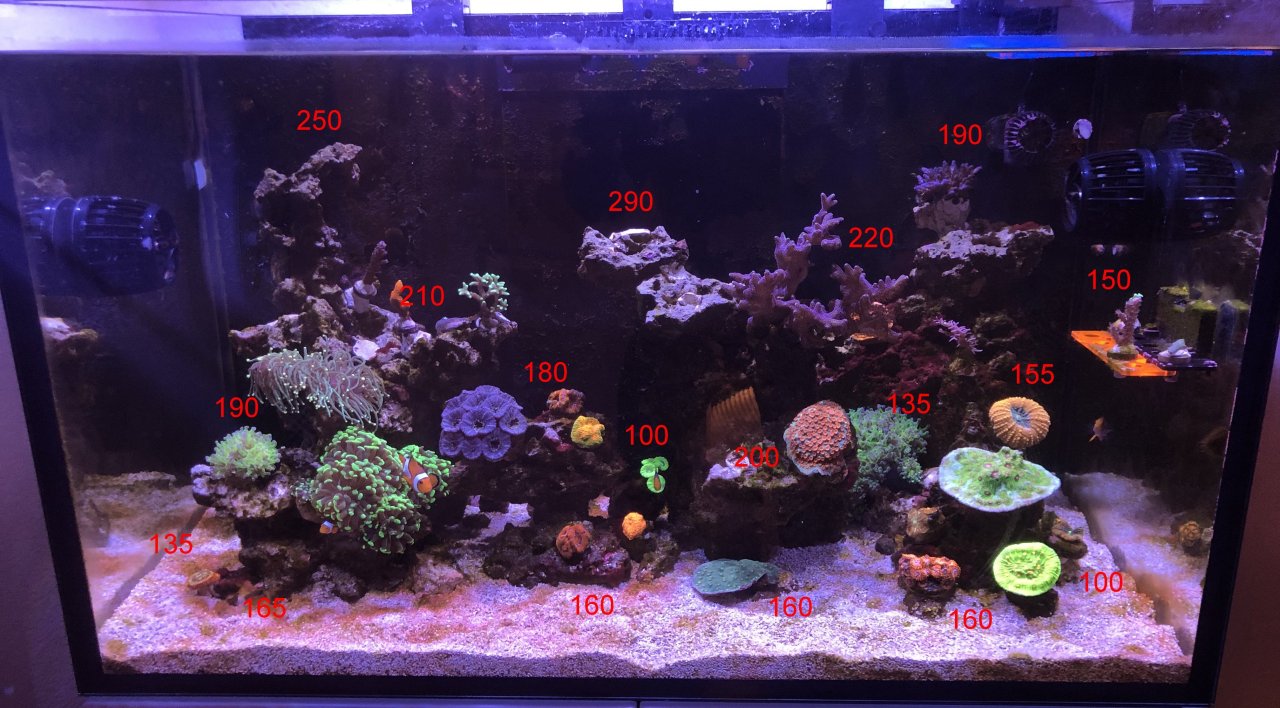 Kessil_65_percent_3_units-1.jpg
