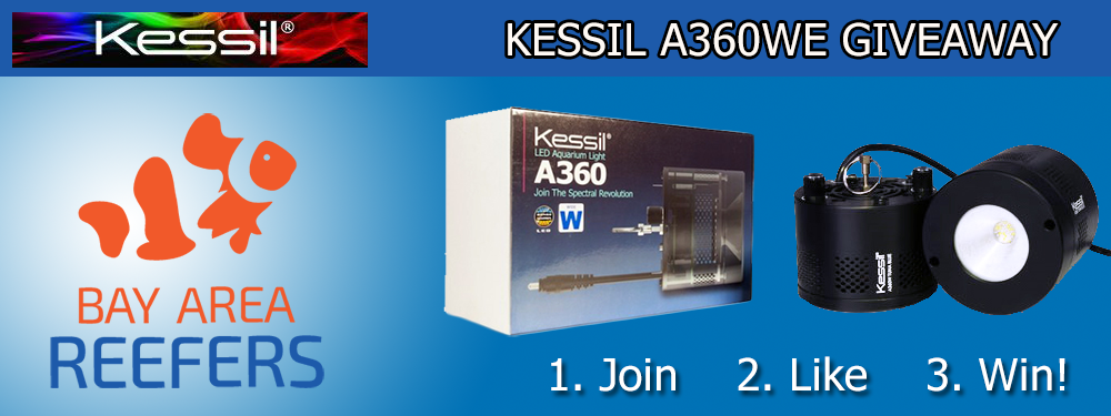KessilGiveAwayV2Long.png