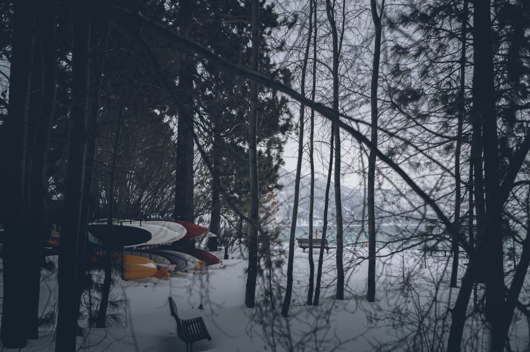 L1004182.jpg