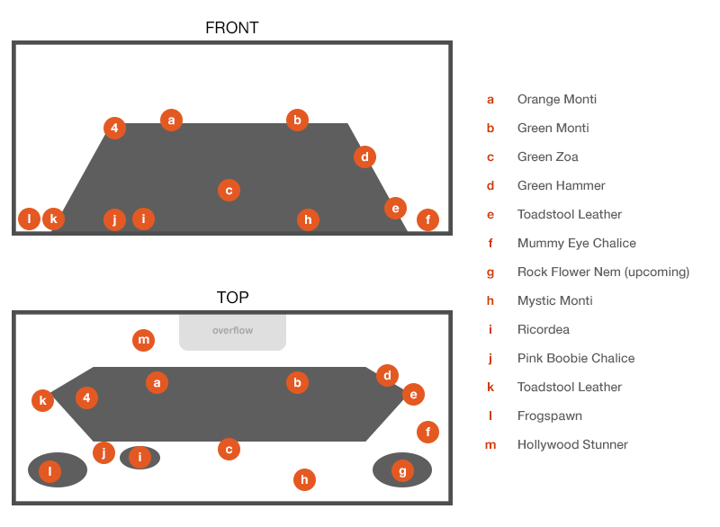 layout.png