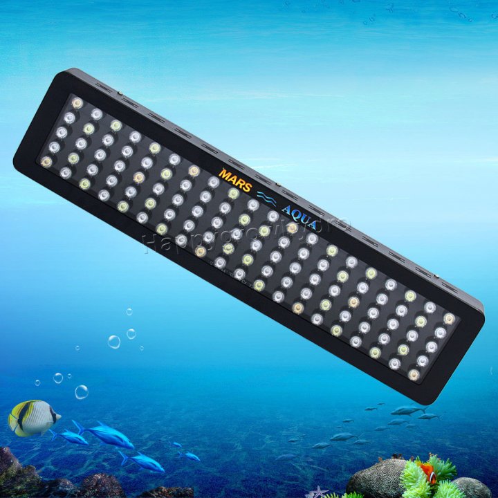 led.jpg