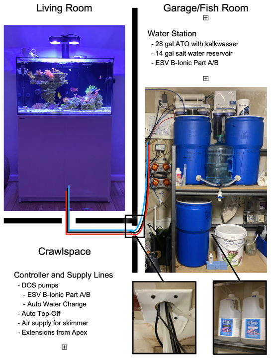 Living Room and Tank Room.png